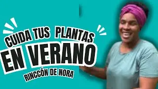 Cómo proteger las PlANTAS en VERANO || El Rincón de Nora