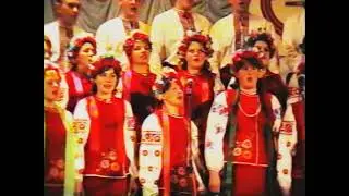 Звіт Корової 2005 рік