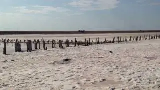 Залив Сиваш розовая соль