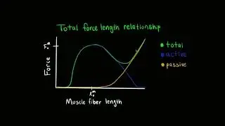 Sliding Filament Theory