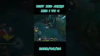 Pro Zed Main China Highlight 1vs4