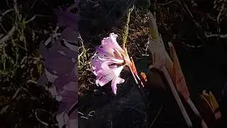 VID 20240908 181558