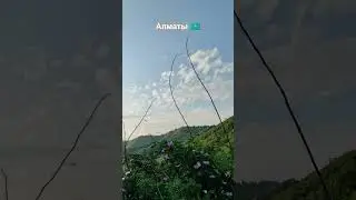 Алматы 🇰🇿 #2024 #қазақстан #природа #медеу #медео #казахстан #коньки #деревья #лестницы #здоровье