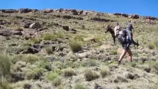 Merrell Adv Addicts - New team / Drak Grand Traverse
