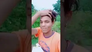 Mithun t