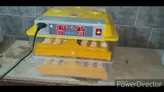 96 egg automatic incubator working and operation