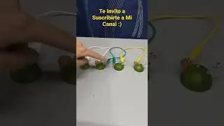 Como Encender Un LED con Limones ✅🌟