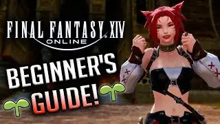 A Beginner’s Guide To Final Fantasy XIV