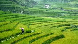 Sapa , Vietnam