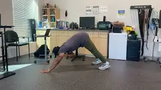 Shoulder Tap to Single Arm Pike Up