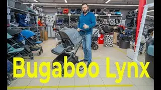 Быстро обзор Bugaboo Lynx