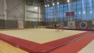 Кулакова Милана, Апимашко Елизавета, Ермолаева Полина, 3упр, 1взр