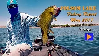 Folsom Lake Fishing Report May 2017 - Bass Pro Shops Open