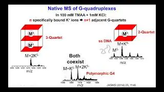 2023-04-18 ICMRBS ECR Webinar: Ghosh