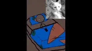 my cat' s death feels like