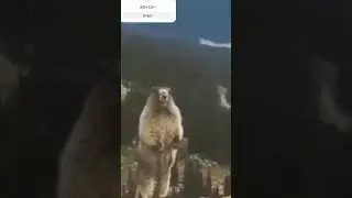 Что за (6 часть)