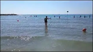 Birba nuota sfidando le 🌊