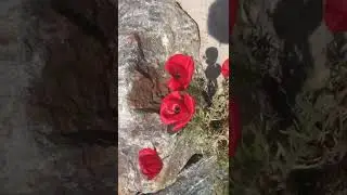 나 떨고있니?