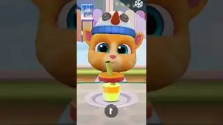 Chipi Chipi with Ginger 