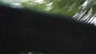 стречаем Бузову