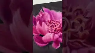 Курс «Цветы акварелью» от Дарьи Куцаевой.