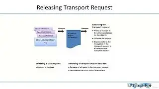 SAP BASIS COURSE: Lec 40. Customer Development.