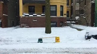 The Chicago Dibs System