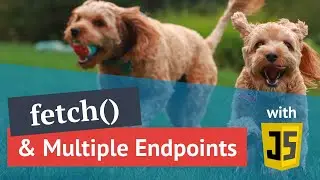 Calling multiple APIs with the JavaScript fetch() method