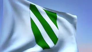 Msida Flag Logo