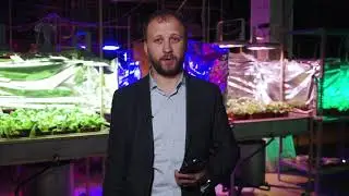 Тепличное освещение
