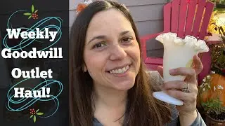 Goodwill Outlet Bins Thrift Haul! What did I find this week? Thrift and Vintage Decor!