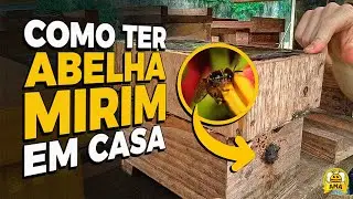 The complete guide on how to raise children at home 🐝🏡