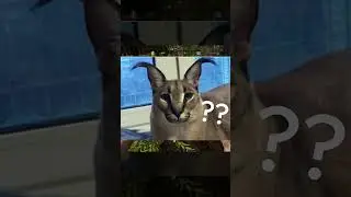 😂😭 НЕ БЕЙ МЕНЯ 