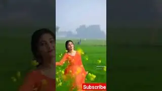 dance l #dance #video #viral #reels #tiktok