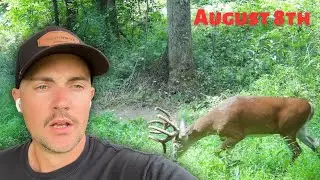 Habitat lessons learned, the RETURN of a Ohio stud!