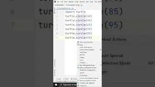Draw a circle in python using 🐢Turtle Graphics 