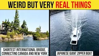 Weird But Very Real Things
