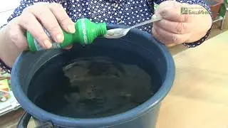 Как применять Фитоспорин-М