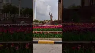 Гулхои Душанбе 🌷#tajikistan #dushanbe