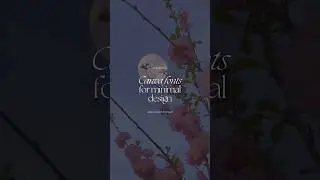 Canva Fonts for Minimalistic Design | Elegant Fonts | Aesthetic Fonts | Minimal Fonts  