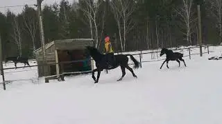я сегодня Непоседа