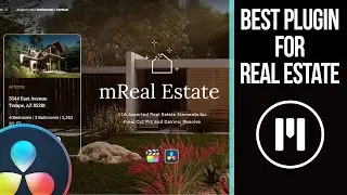 So Much for So Little... mReal Estate Plugin Review!!!