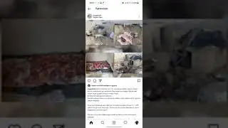 Qarshida eshshak go'shti sotayotganlar qo'lga tushdi sayyod.com