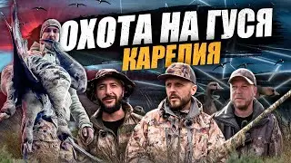 ОХОТА НА ГУСЯ.  В ПОГОНЕ ЗА ГУСЕМ....!