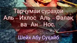 Шейх Абу Суҳайб. Тарҷумаи сураҳо!  Обуна шавед ва дӯстони худро даъват намоед!