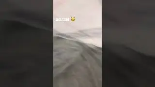тут можно жить🙀🫶🏻