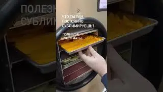 Сублимация продуктов как бизнес. Полезные сублиматы #shortvideo  #freezedry #идеядлябизнеса #бизнес