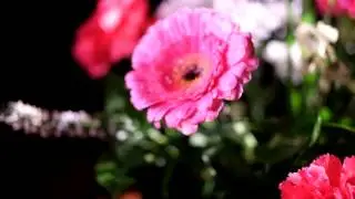 Тестовое видео с Fujifilm X-E2