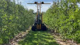 Brownie Quad with TrueSteer and auto hedge tilt correction