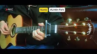 Numb - Linkin Park | fingerstyle #guitar #music #livemusic #viral #acoustic #fyp #shorts #trending